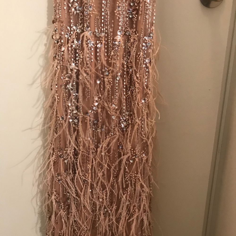TERANI COUTURE DRESS: Color: Blush - Picture 6 of 7